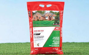 feed lawn care ace hardware